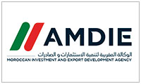 AMDI Logo